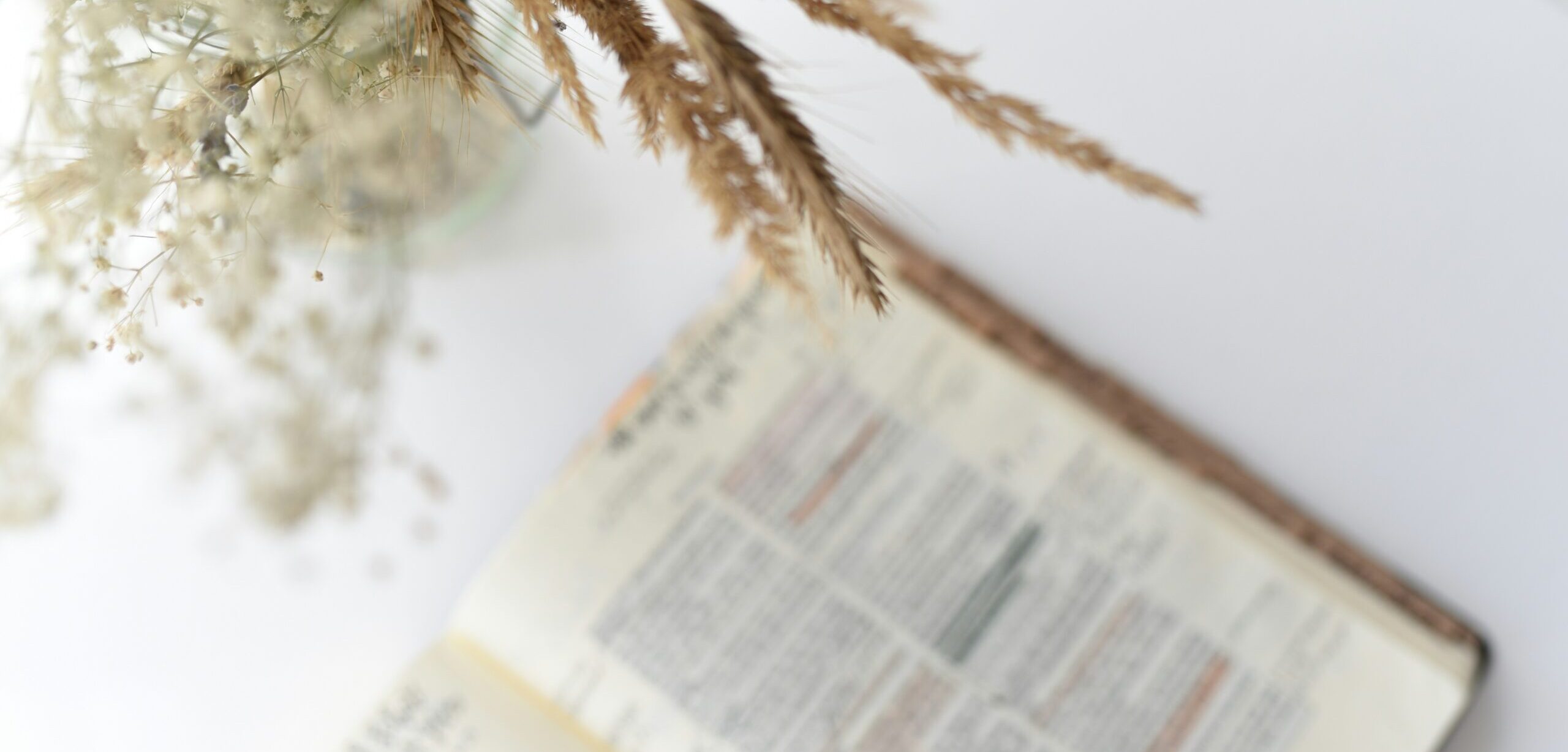 jasmin-ne-cKZDwHkp1wY-unsplash