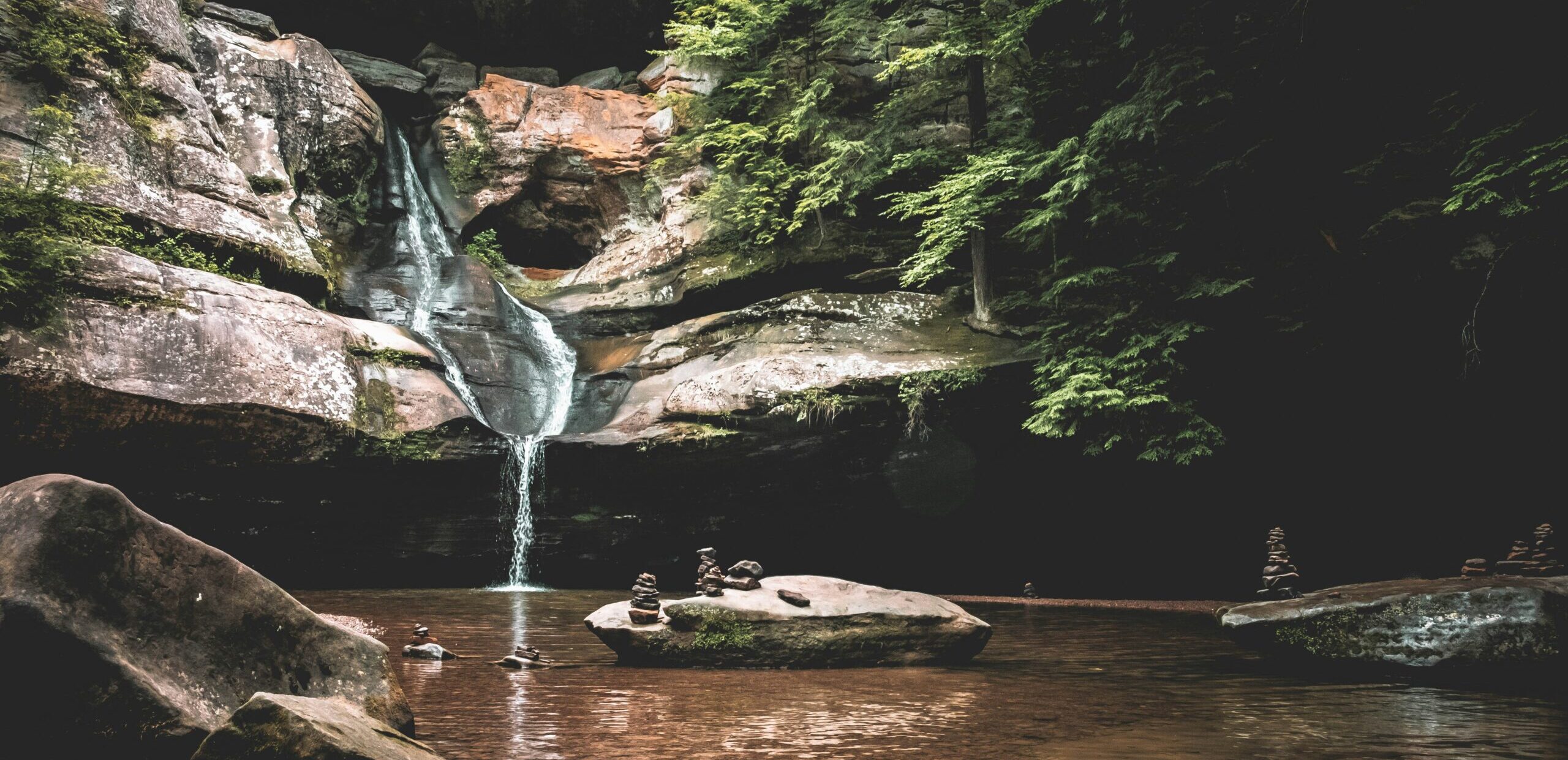 lance-anderson-MYBr09n-tLw-unsplash