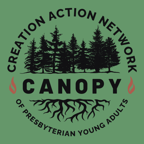 CANOPY, New Young Adult Initiative from Presbyterians for Earth Care