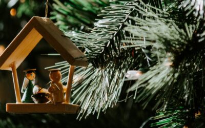 Available Virtual Worship for the First Sunday of Christmas 2025 from the Synod of the Covenant