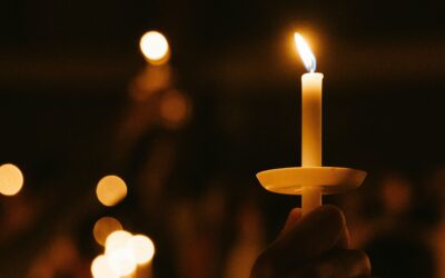 PLM Statement in memory of Renée Nicole Good and Alex Pretti