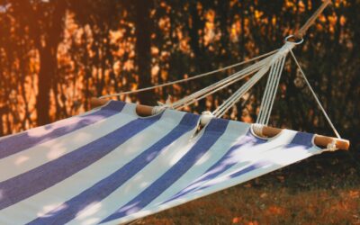 Executive Presbyter Update: General Assembly and Sabbatical